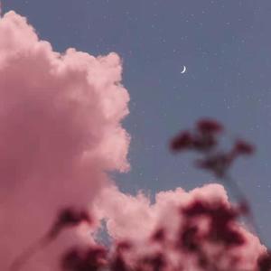 亮亮1217 - 最后的人  杨小壮（其实我们 都说不出来）