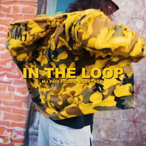 Dsm - In the Loop (Explicit)