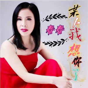 某人我想你了 (DJ深情版)封面