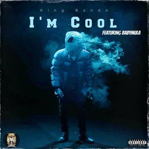 I'm Cool (feat. BabyMula) [Explicit]