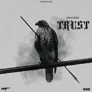 Trust (feat. 1Chop)