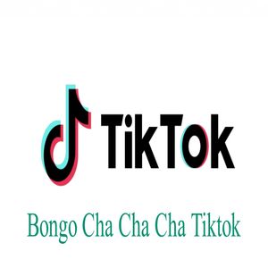 Bongo Cha Cha Cha Tiktok Song