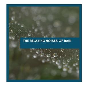 The Relaxing Noises of Rain