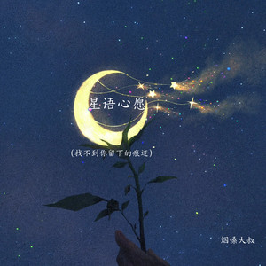 星语心愿(找不到你留下的痕迹)
