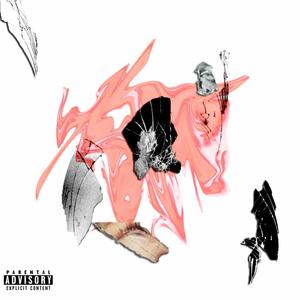 Disarray (feat. Zach Westmore) (Explicit)