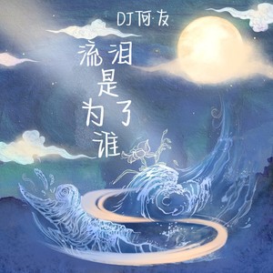 流泪是为了谁 (DJ版)