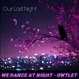 Our Last Night (Explicit)