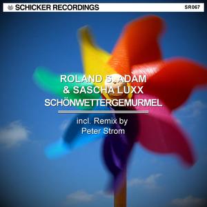 Schoenwettergemurmel (Peter Strom Remix)
