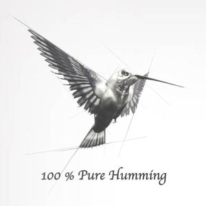 Hummingbird (Pure Humming Version)