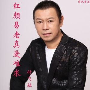 红颜易老真爱难求封面