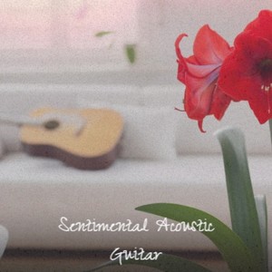 Sentimental Acoustic Guitar