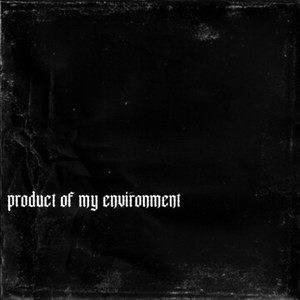 Product Of My Environment (Explicit)