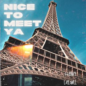 Nice To Meet Ya (feat. LayLowLL) [Explicit]