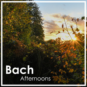 Chopin: Waltz No. 19 in A Minor, KK IVb (Version for Harp in A Flat Minor)