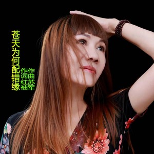 红袖 - 苍天为何配错缘 (伴奏)