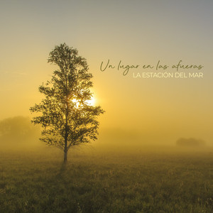 Libélulas y Colibrís