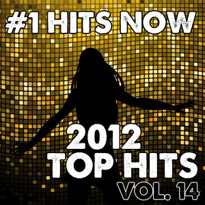 2012 Top Hits, Vol. 14
