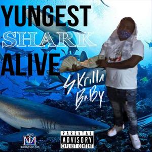 Yungest Shark Alive (Explicit)