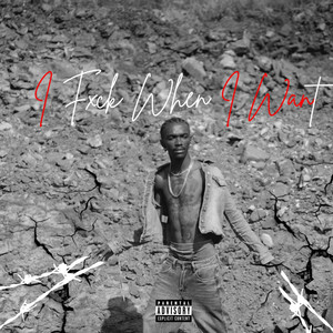 I Fxck When I Want (Explicit)
