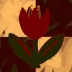 Deer Dancing Around a Broken Mirror