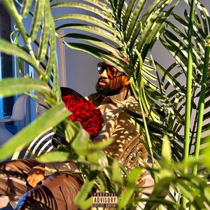 Back In These Streets (feat. Ryan Alexander) (Explicit)