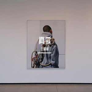 真实 (Single Version)