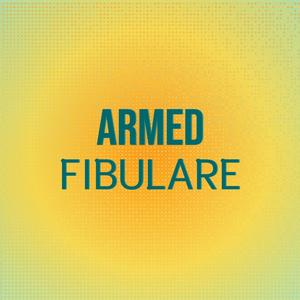 Armed Fibulare