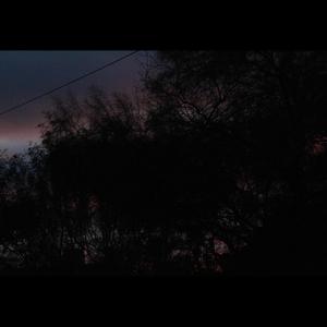 Love Like A Mutilation