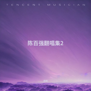 痴情岁月封面