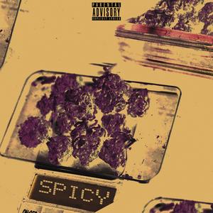 Spicy (Explicit)