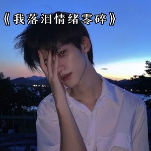 我落泪情绪零碎