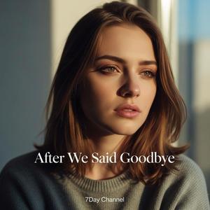 After We Said Goodbye