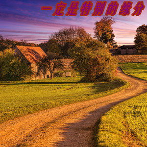 也很值得 (DJ版)