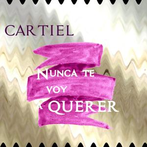 Nunca te voy a querer