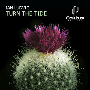 Turn The Tide (Original Mix)