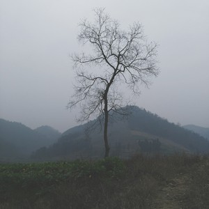放下