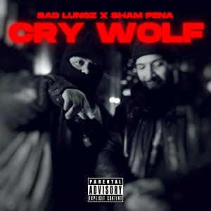 Cry Wolf (Explicit)