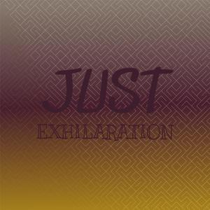 Just Exhilaration