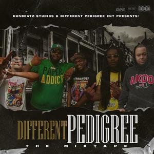 Different Pedigree: The Mixtape (Explicit)