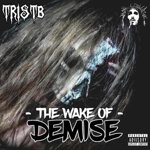 THE WAKE OF DEMISE (Explicit)