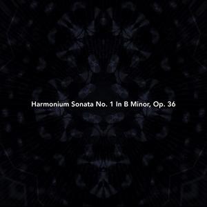 Harmonium Sonata No. 1 in B Minor, Op. 36: III. Finale