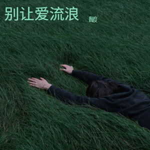 别让爱流浪 (伴奏)