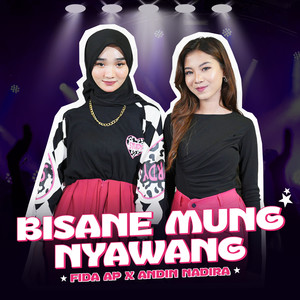 Bisane Mung Nyawang