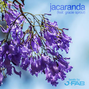 jacaranda