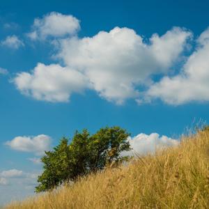 Sleeping Slough