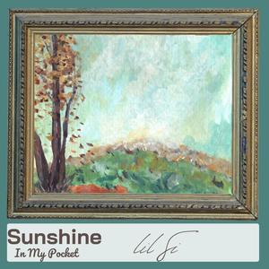 Sunshine in My Pocket