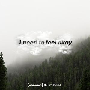 i need to feel okay (feat. I'm Geist) (Explicit)