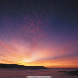 See U(Prod. byʎpoqou)