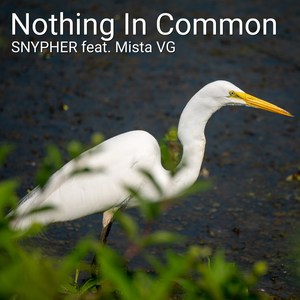 Nothing in Common (feat. Mista Vg)