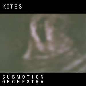 Kites